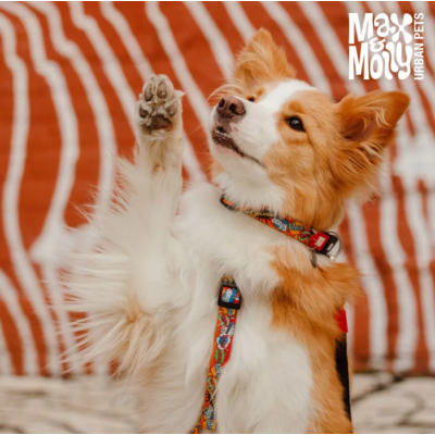 Max & Molly Н-образная шлейка Герои S