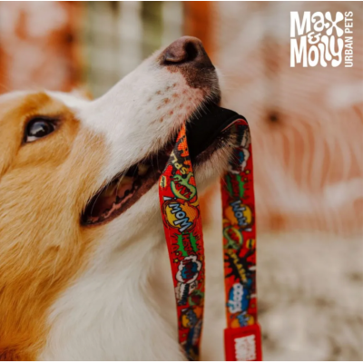 Max & Molly Н-образная шлейка Герои S