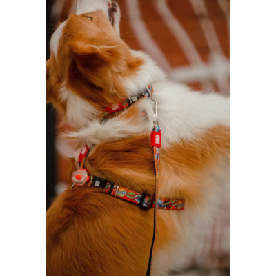 Max & Molly Н-образная шлейка Герои S