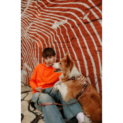 Max & Molly Н-образная шлейка Герои S