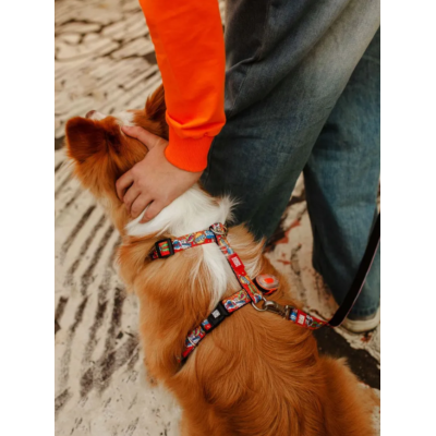 Max & Molly Н-образная шлейка Герои S