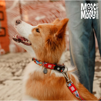 Max & Molly Н-образная шлейка Герои S