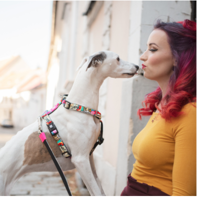 Max & Molly Н-образная шлейка Миссис Поп XS