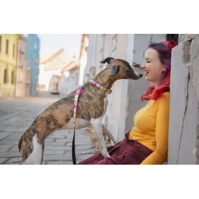 Max & Molly Н-образная шлейка Миссис Поп XS