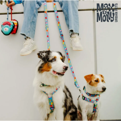 Max & Molly Н-образная шлейка Маленькие монстры XS