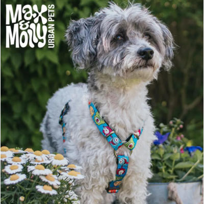 Max & Molly Н-образная шлейка Маленькие монстры XS