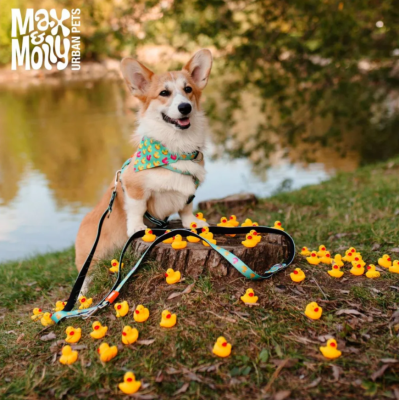 Max & Molly Н-образная шлейка Утята L