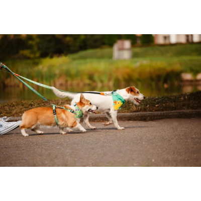 Max & Molly Н-образная шлейка Утята L