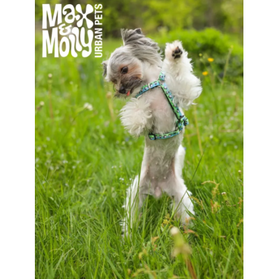 Max & Molly Н-образная шлейка Черная овечка XS