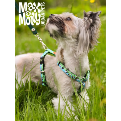 Max & Molly Н-образная шлейка Черная овечка XS