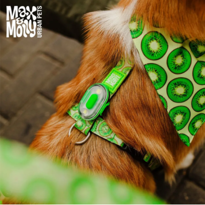 Max & Molly Н-образная шлейка Киви S