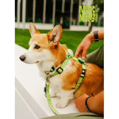 Max & Molly Н-образная шлейка Киви S