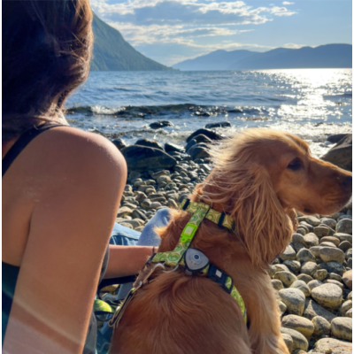 Max & Molly Н-образная шлейка Киви S