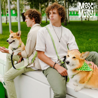 Max & Molly Н-образная шлейка Киви S