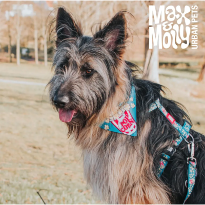 Max & Molly Н-образная шлейка Попкорн S