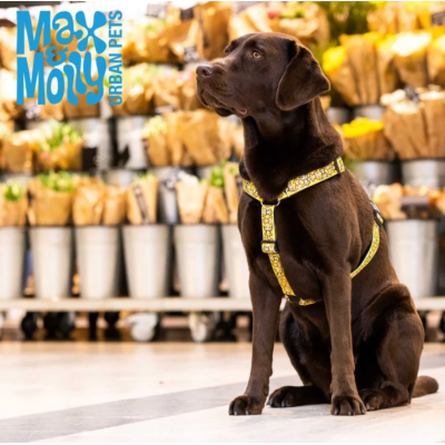 Max & Molly Н-образная шлейка Обезьянки M