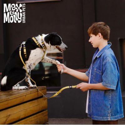 Max & Molly Н-образная шлейка Обезьянки M