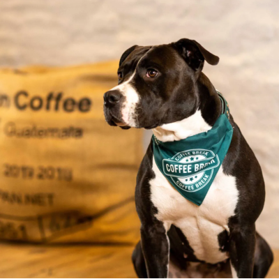 Max & Molly Н-образная шлейка Кофе-брейк S