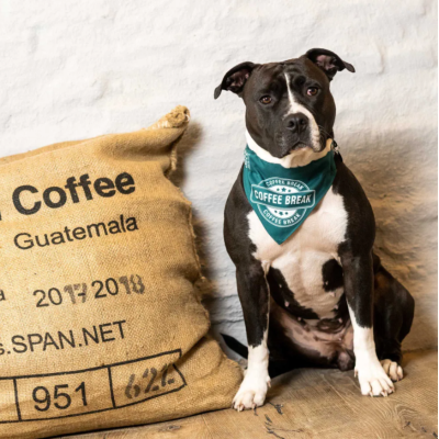 Max & Molly Н-образная шлейка Кофе-брейк S