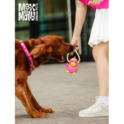 Max & Molly Н-образная шлейка Клубничные мечты XS