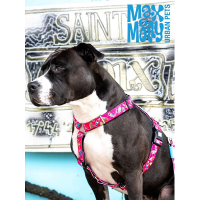 Max & Molly Н-образная шлейка Клубничные мечты XS