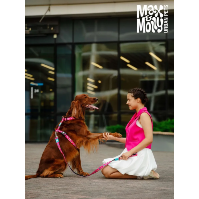 Max & Molly Н-образная шлейка Клубничные мечты XS