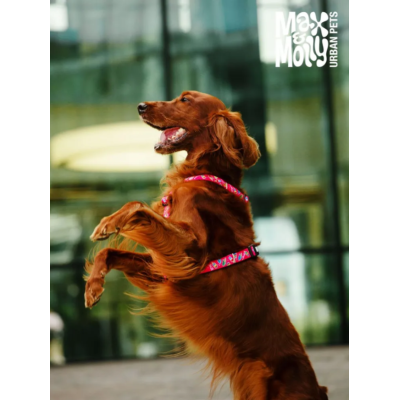 Max & Molly Н-образная шлейка Клубничные мечты XS