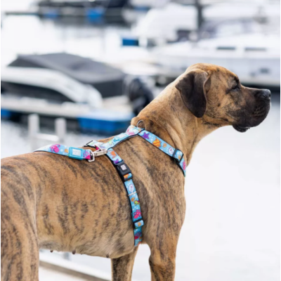 Max & Molly Н-образная шлейка Голубой океан M