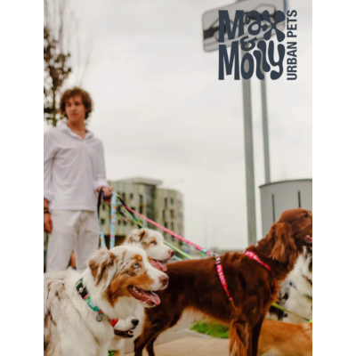 Max & Molly Н-образная шлейка Ромашки L