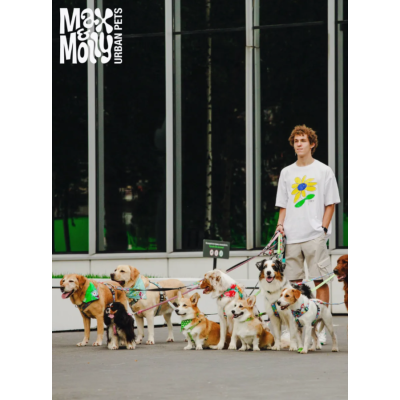 Max & Molly Н-образная шлейка Ромашки L