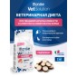 Monge VetSolution Dog An-Hydro Диетический корм ан-гидро для собак при пищевой непереносимости 2 кг