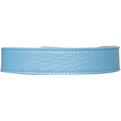 Mr.Kranch Ошейник для собак из натуральной кожи с QR-адресником, 25-30 см. нежно-голубой