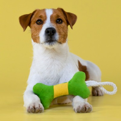 Mr.Kranch Игрушка для собак мелких и средних пород косточка с канатом, зеленая с желтым