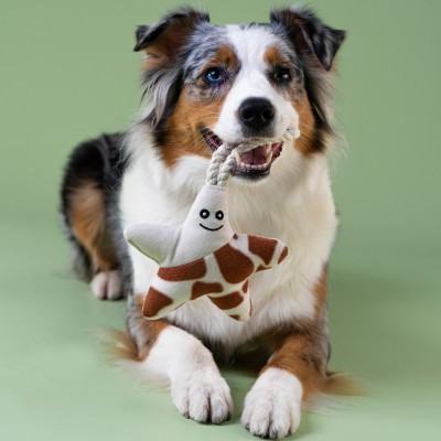 Mr.Kranch Игрушка для собак мелких и средних пород звездочка с канатом и пищалкой, бежево-пятнистая