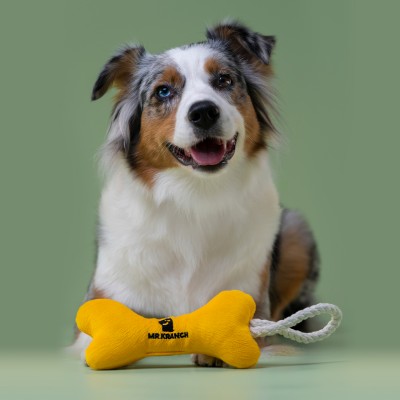Mr.Kranch Игрушка для собак мелких и средних пород косточка с канатом, желтая