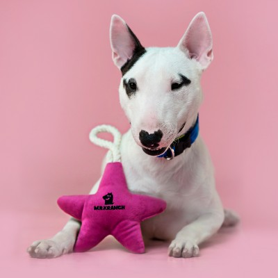 Mr.Kranch Игрушка для собак мелких и средних пород звездочка с канатом и пищалкой, нежно-розовая