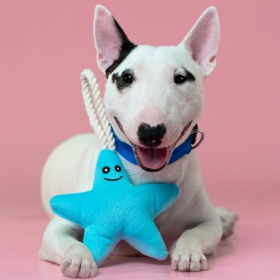 Mr.Kranch Игрушка для собак мелких и средних пород звездочка с канатом и пищалкой, нежно-голубая
