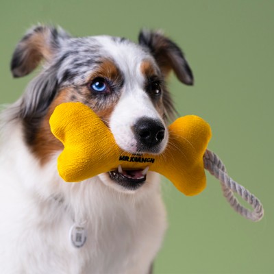 Mr.Kranch Игрушка для собак мелких и средних пород косточка с канатом, желтая