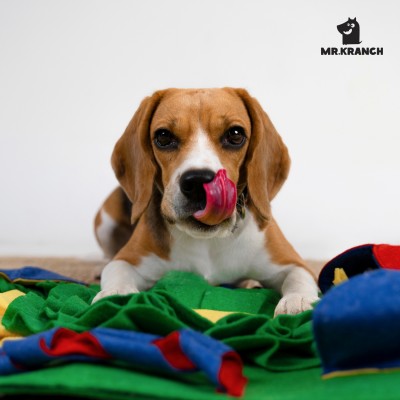 Mr.Kranch Нюхательный коврик Бейсбольный матч, размер 50x70см