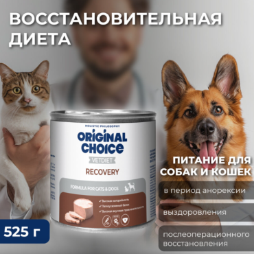 Original Choice VETDIET Recovery ветеринарная диета для собак и кошек восстановительная диета 525 гр.