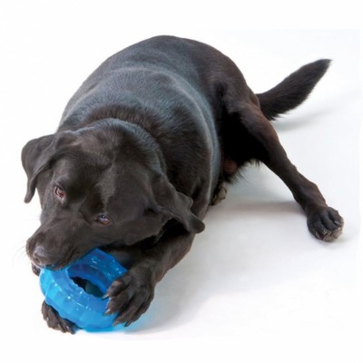 Petstages игрушка для собак "ОРКА кольцо" 16 см. большая