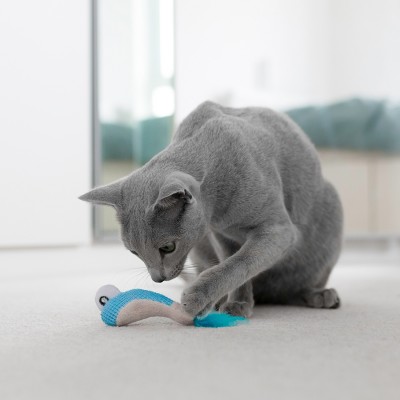 Petstages игрушка для кошек Dental "Креветки" 2 шт. с кошачьей мятой 7 см.