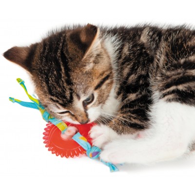 Petstages игрушка для кошек Dental "ОРКА колесико"