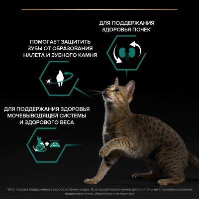 PRO PLAN® Сухой корм для стерилизованных кошек и кастрированных котов с высоким содержанием индейки 10 кг + 2 кг в подарок