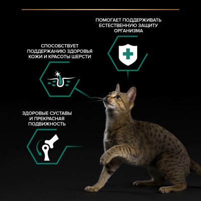 PRO PLAN® MAINTENANCE Влажный корм для взрослых кошек с ягненком в желе 85 гр