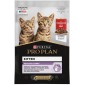 PRO PLAN® HEALTHY START Влажный корм для котят с говядиной в соусе 85 гр