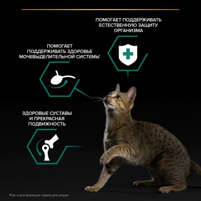 PRO PLAN® MAINTENANCE Влажный корм для взрослых кошек с уткой в соусе 85 гр