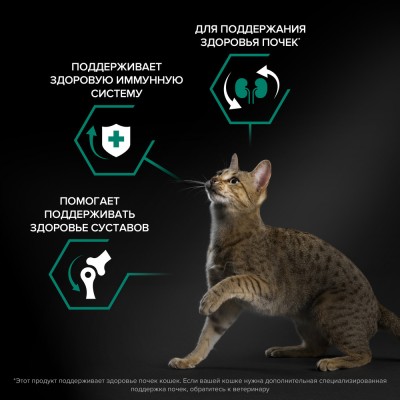 PRO PLAN® RENAL PLUS Сухой корм для взрослых кошек для поддержания здоровья почек с высоким содержанием курицы 1.5 кг