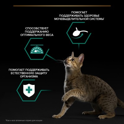 PRO PLAN® Sterilised MAINTENANCE Влажный корм для взрослых стерилизованных кошек с говядиной, курицей, уткой, океанической рыбой в соусе 85 гр х 40 шт.