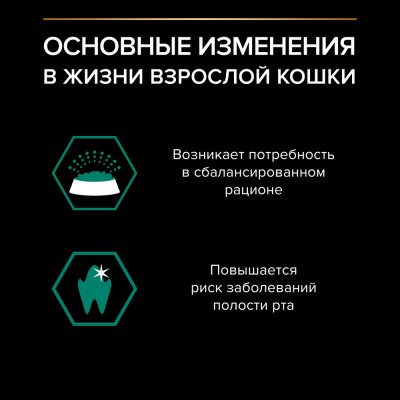 PRO PLAN® MAINTENANCE Влажный корм для взрослых кошек с говядиной в соусе 85 гр